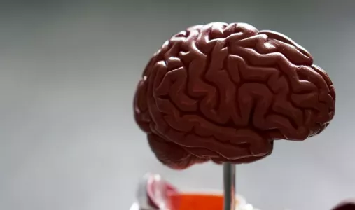 Номер один для мозга: как сохранить память и ясный ум в пожилом возрасте — рассказала нейрофизиолог