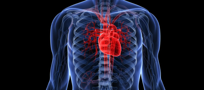 Сердце будет здорово в любом возрасте: с такими продуктами вы забудете о всех проблемах с органом — рекомендация кардиолога
