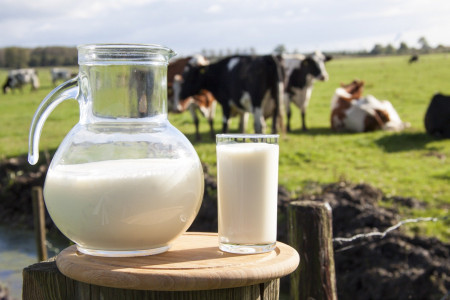 Щепотка на литр — и молоко не скиснет несколько дней — деревенские бабушки добавляют в него только это