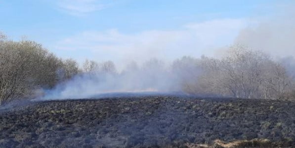 Огонь почти дошел до дома: в Зеленоборском загорелась сухая трава