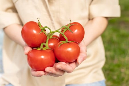 Подкормка томатов после высадки должна быть такой: помидоров станет в 10 раз больше, никакие болезни не страшны — ускорится процесс плодоношения