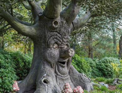 Весёлые эксперименты природы: Учёные восстановили внешний вид древних деревьев и улыбнулись — напоминает туалетную принадлежность