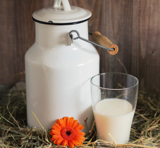 Буря в животе: Что нельзя запивать молоком — диетолог Лысенков