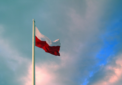 Международное право против планов панов: Польша намерена заминировать границу с Россией