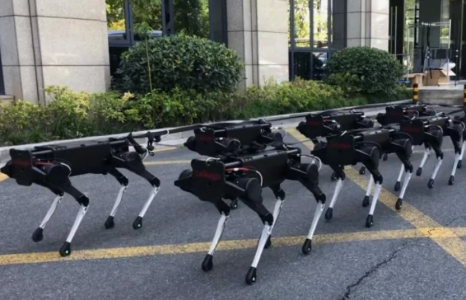 Стальные штурмовики: В Китае на службу в армии поступили собаки-роботы — заменят ли людей