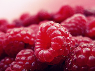 Малина отблагодарит рекордным урожаем крупных и сладких ягод: срочно сделайте это в начале июня — результат поразит