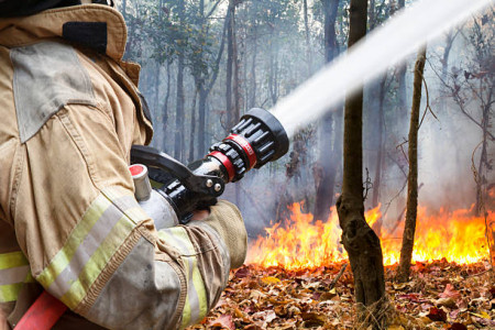 В Мурманской области ввели максимальный уровень пожарной опасности