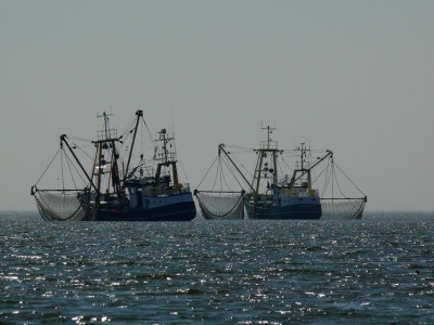Отказали в заходе: в голландском порту Эмсхавен развернули мурманское судно с рыбой
