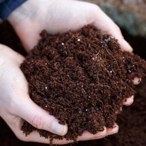 Даже глинистая почва станет мягкой, как пух: агрономы рассказали, что рыхлит землю лучше лопаты — плодородность взлетит в разы