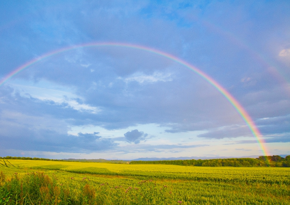 «Стоит найти радугу»: Какой праздник отмечается 3 июня — что можно и нельзя делать в этот день, чтобы приумножить красоту