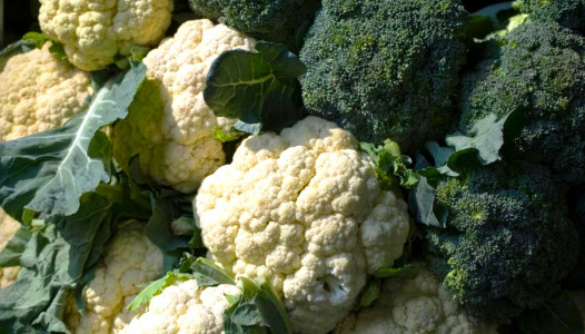 Урожая не будет: Агроном Давыдова назвала 3 причины отсутствия завязей брокколи и цветной капусты — срочно внесите это натуральное удобрение