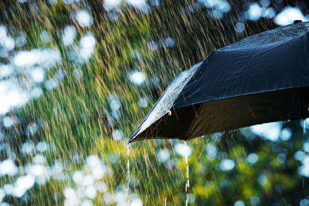 Дожди и грозы: жителей Мурманской области ждут погодные сюрпризы с 3 июня 2024 года