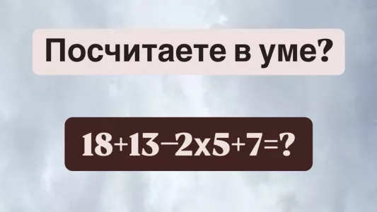«Эйнштейны», общий сбор — посчитаете в уме «18+13−2×5+7»? Если управитесь за 10 секунд — снимаем шляпу
