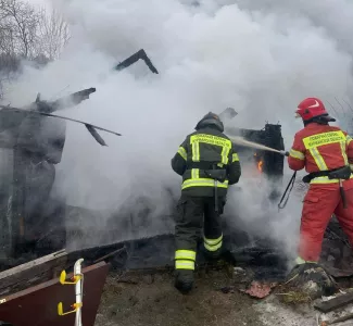 13 птиц погибли при пожаре в курятнике в Мурманской области