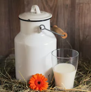 Не выливайте кислое молоко — из него можно сделать вкусный суп: такое блюдо готовили хозяйки в СССР — рецепт из журнала «Крестьянка»