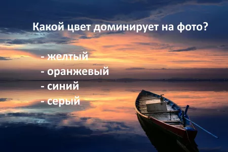 Сколько лет вашему мозгу: назовите доминирующий цвет без раздумий — узнаете свой ментальный возраст