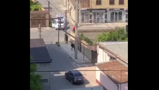 В Махачкале перестрелка: неизвестные открыли огонь по сотрудникам ДПС — есть убитые