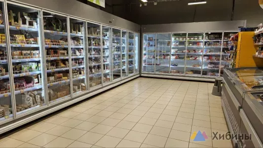 В Мурманской области подорожали овощи и рыба, но хлеб стал дешевле