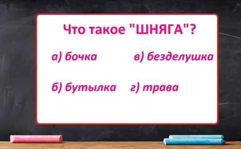Что такое «шняга»: кто ошибся, замазывает «двойку» в дневнике — а вы пройдете тест по русскому?