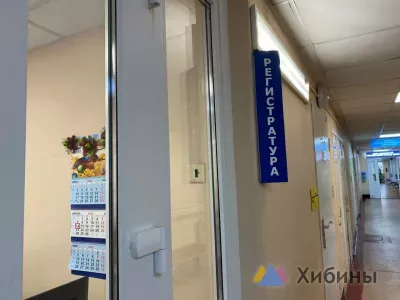 В Мурманской области резко снизилась заболеваемость ОРВИ и гриппом