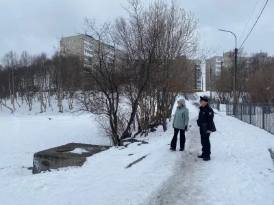 Мурманские власти призвали собаководов убирать за питомцами у озера Глубокое