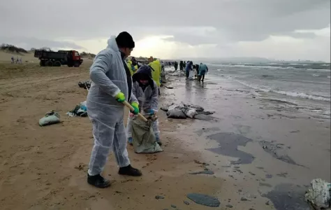 Мазут всплывёт: учёные МГУ назвали эффективный способ очистки морского дна от «тяжёлого» топлива