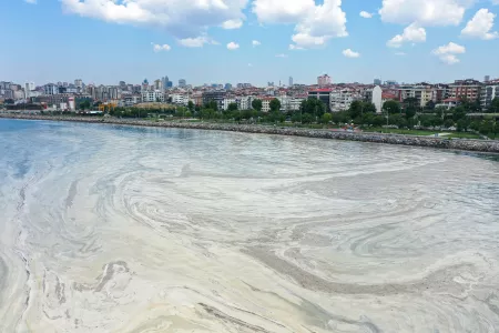 Кошмар Мраморного моря: в Турции бьют тревогу из-за странной морской слизи — туристический сезон под угрозой