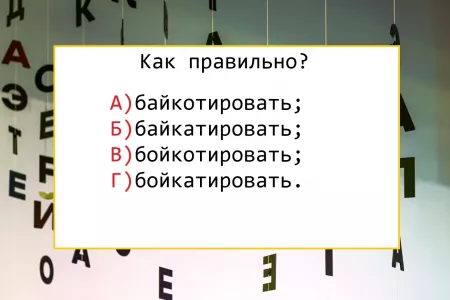 Не просто глагол — а вызов для мозга: какое написание является правильным — ответят только зубрежники