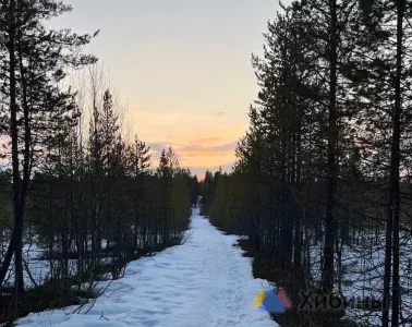 Самый тёплый день в этом году зафиксировали в Мурманске