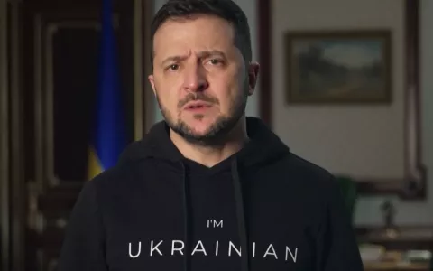 «У него другого выхода нет»: в Госдуме назвали бравадой слова Владимира Зеленского о готовности ждать Путина в Турции 15 мая
