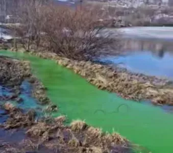 Позеленевшее озеро в Мурманске взволновало горожан