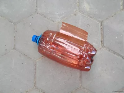 «Присобачила» бутылку к палке — огородная жизнь сразу стала легче: урожай защищен на все лето