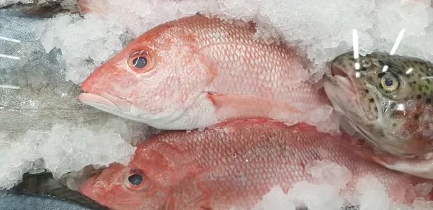 Заморозка без ошибок: 5 правил, чтобы продукты не превратились в безвкусную массу