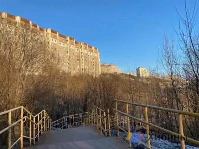 В Мурманскую область переехали специалисты из Израиля, Беларуси и Казахстана по программе «Курс на Север»