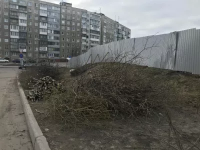 Жителей Мурманска встревожила вырубка деревьев возле строящегося ФОКа