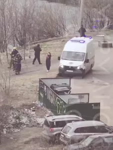 В Мурманске хозяйка и прохожий рискнули жизнями ради собаки — пса спасти не смогли и сами чуть не погибли