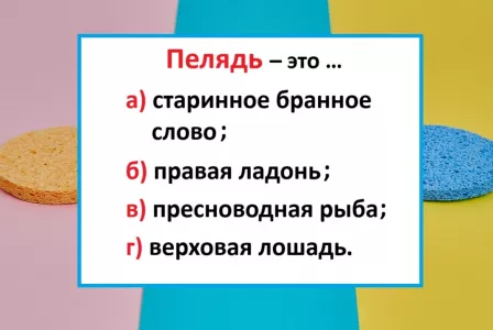 Значение слова «пелядь» угадывает не каждый — нужно тонко чувствовать язык: а вы сможете?