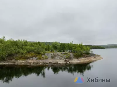 Пожароопасный сезон начался в лесах Мурманской области