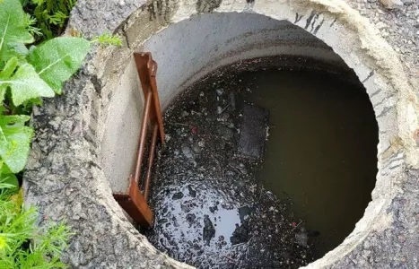 Карбид и сода не нужны: бросаю пучок в выгребную яму и глазам не верю — вонь исчезает, а вода уходит без откачки