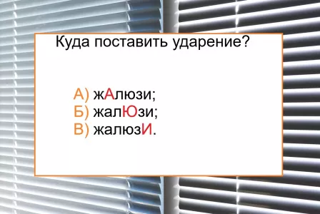 Если не справитесь — со стыда сгореть захочется: куда поставить ударение в слове «жалюзи» — знаете?