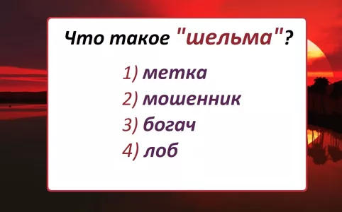 Что такое «шельма»: кто ошибся, позорился не раз — а вам грозит «двойка» по русскому?