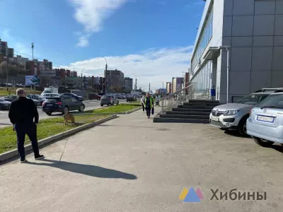 Прогноз погоды в Мурманской области на пятницу, 23 мая