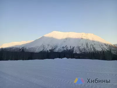 2026 год планируют сделать годом Арктики