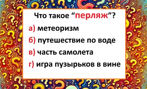 Если не знаете — включите языковую интуицию: что такое «перляж» — тест на знание русского