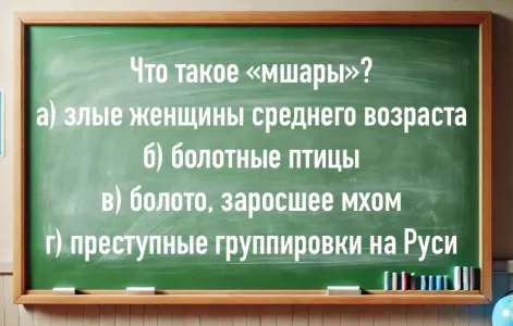 Что такое «мшары»: вы точно встречали это слово — напрягаем мозг и пытаемся отгадать значение — справляются лишь 2% населения