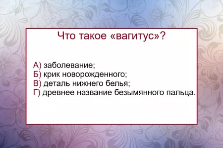 Что такое «вагитус» — значение слова знает лишь 2% людей: не тест по русскому языку, а настоящее испытание