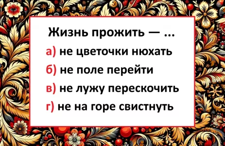 Продолжите пословицу «Жизнь прожить — не…»: кто угадал, тот сдал тест по русскому на высший балл