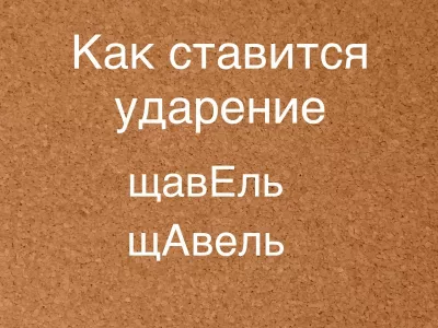 Даже знатоки ошибаются: ударение, о котором спорят все — правильно произносят лишь единицы