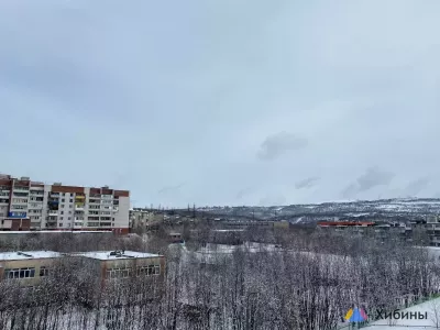 Дожди и грозы ожидаются в Мурманской области сегодня