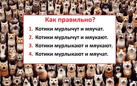 Мало кто может сказать это правильно — какой вариант верный? Минутный тест на грамотность